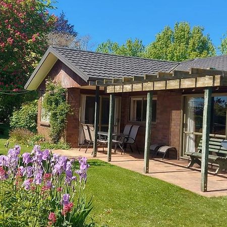 Dewdrop Cottage Hastings Kültér fotó